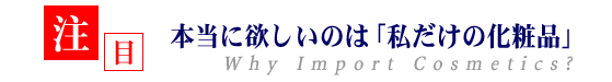 yځz{ɗ~̂́ủϕiv